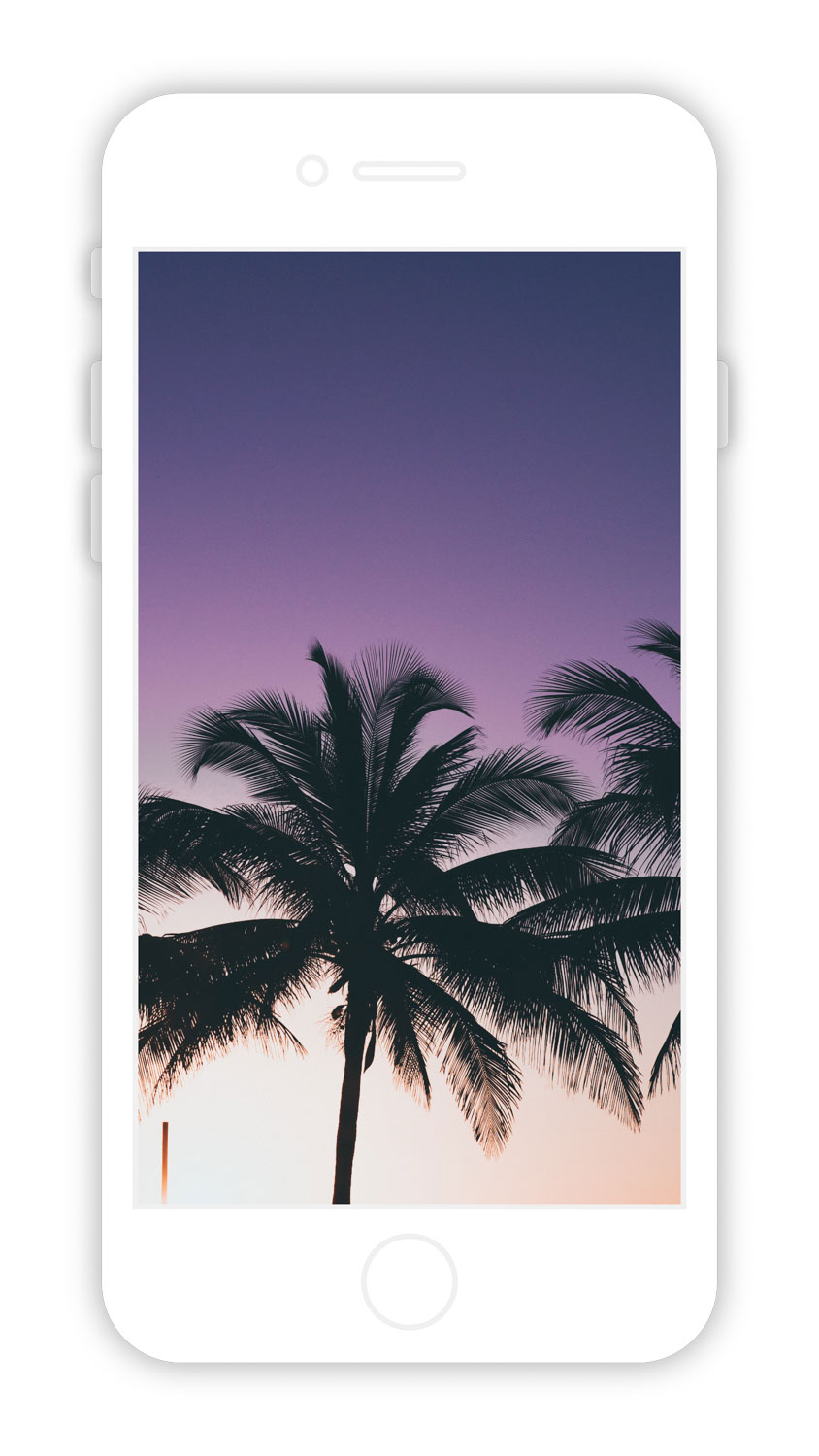 Mockup of iPhone X white with photo of palms